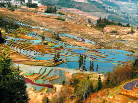元阳哈尼梯田风光