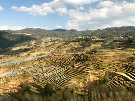 元阳哈尼梯田风光