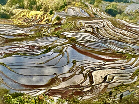 元阳哈尼梯田风光
