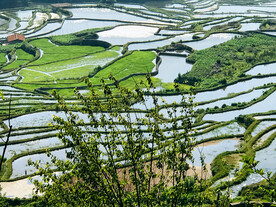 元阳哈尼梯田风光