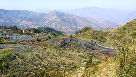 元阳哈尼梯田风光