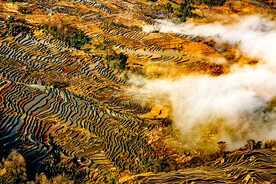 元阳哈尼梯田风光