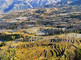 元阳哈尼梯田风光