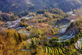 元阳哈尼梯田风光