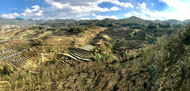 元阳哈尼梯田风光