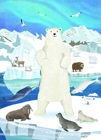 北极动物