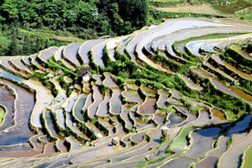 从江加榜梯田风光
