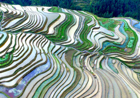 从江加榜梯田风光