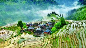 从江加榜梯田风光