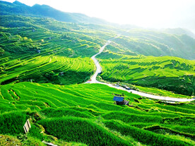 从江加榜梯田风光