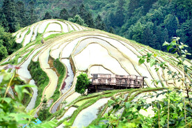 从江加榜梯田风光