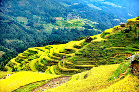 从江加榜梯田风光