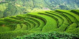 从江加榜梯田风光