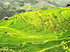 从江加榜梯田风光