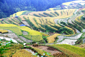 从江加榜梯田风光