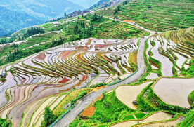 从江加榜梯田风光