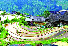 从江加榜梯田风光