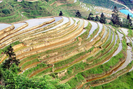 从江加榜梯田风光