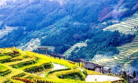 从江加榜梯田风光