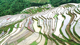 从江加榜梯田风光