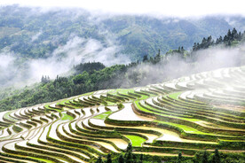 从江加榜梯田风光