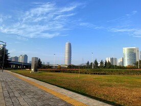 郑东新区大玉米