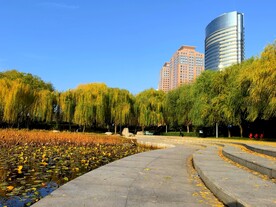 金色秋天公园一角