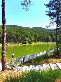 安山农村原生态野公园风景