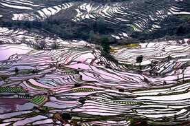 元阳哈尼梯田风光