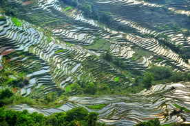 元阳哈尼梯田风光