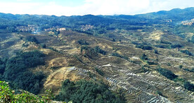 元阳哈尼梯田风光