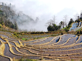 元阳哈尼梯田风光