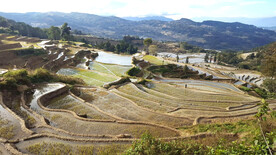 元阳哈尼梯田风光
