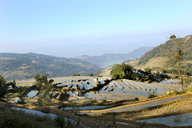 元阳哈尼梯田风光