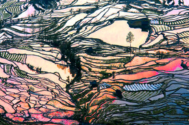 云南元阳哈尼梯田景区