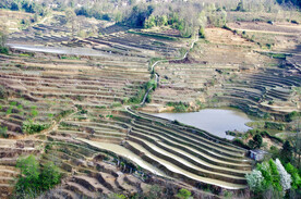元阳哈尼梯田风光