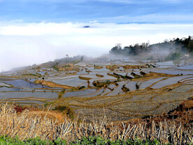 元阳哈尼梯田风光
