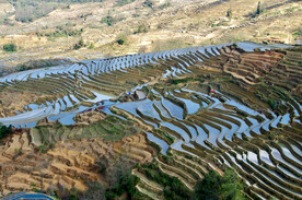 元阳哈尼梯田风光