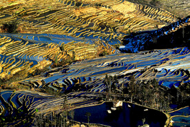 元阳哈尼梯田风光