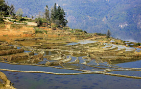 元阳哈尼梯田风光