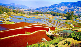 元阳哈尼梯田风光