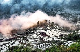 元阳哈尼梯田风光