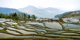 元阳哈尼梯田风光