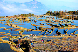 元阳哈尼梯田风光