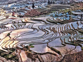 元阳哈尼梯田风光
