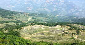 元阳哈尼梯田风光