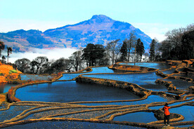 元阳哈尼梯田风光