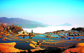 元阳哈尼梯田风光