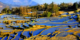 元阳哈尼梯田风光