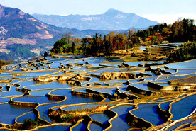 元阳哈尼梯田风光